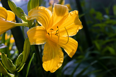 Similar image 20996145