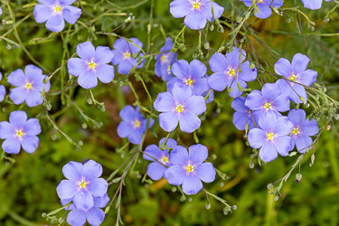 Similar image 20996146