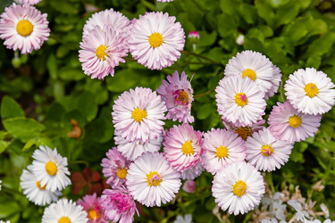 Similar image 20996149