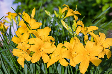 Similar image 20996152