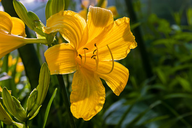 Similar image 20996156