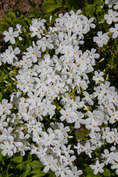 Similar image 20996158