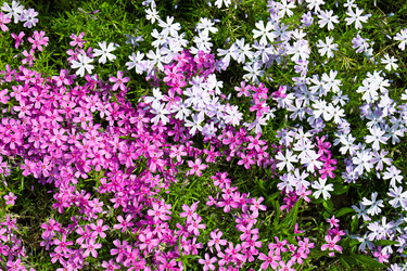 Similar image 20996159