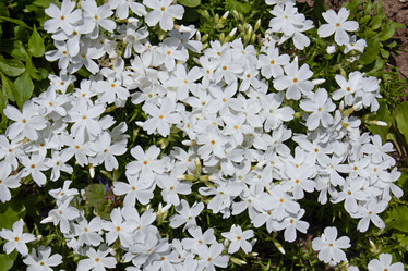 Similar image 20996160