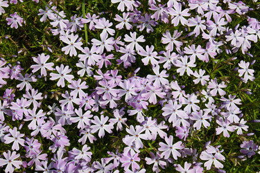 Similar image 20996161