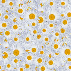 Similar image 20996025