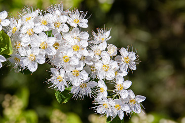 Similar image 20996029