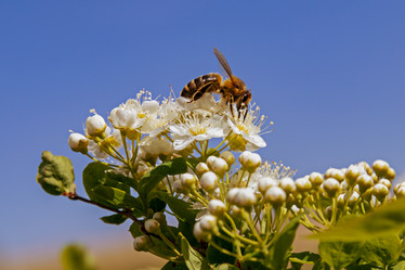 Similar image 20996030