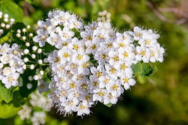 Similar image 20996032