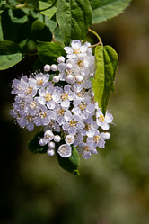 Similar image 20996033