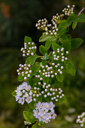 Similar image 20996034