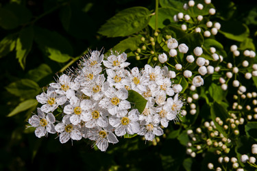 Similar image 20996036