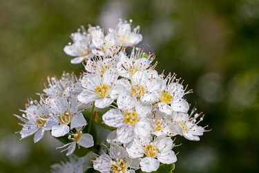 Similar image 20996037