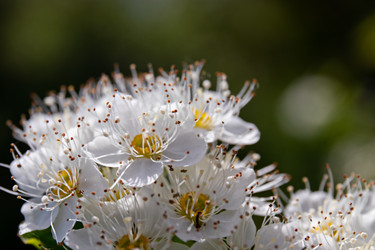 Similar image 20996047