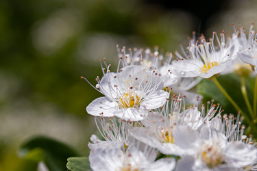 Similar image 20996048