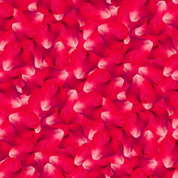 Similar image 20996052