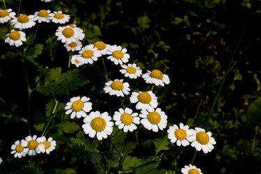 Similar image 20996054