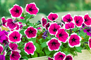 Similar image 20996070