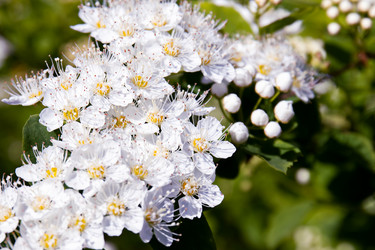 Similar image 20996074