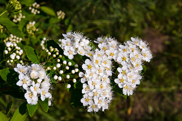 Similar image 20996075