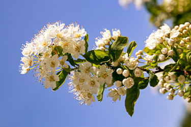 Similar image 20996076