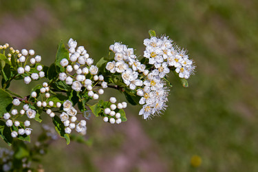 Similar image 20996077