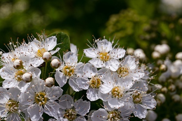 Similar image 20996078