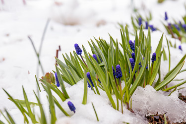 Similar image 20996098