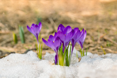 Similar image 20996099