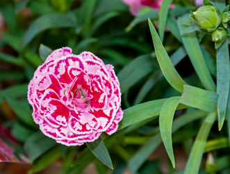 Similar image 20996164