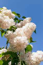 Similar image 20996166