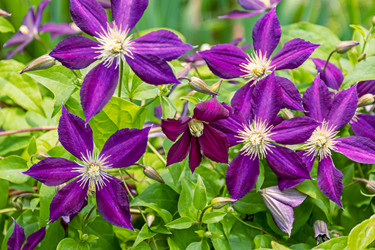 Similar image 20996169