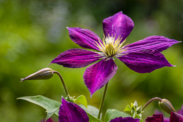 Similar image 20996170