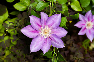 Similar image 20996171