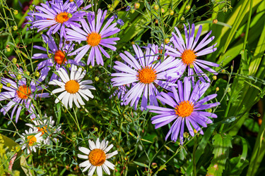 Similar image 20996172