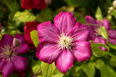 Similar image 20996217