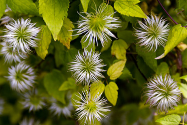 Similar image 20996218