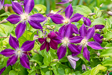 Similar image 20996219