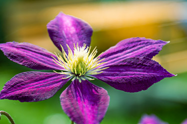 Similar image 20996220