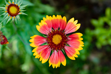 Similar image 20996221