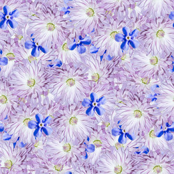 Similar image 20996223