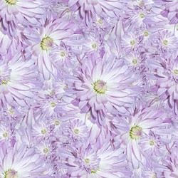 Similar image 20996224