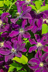 Similar image 20996225