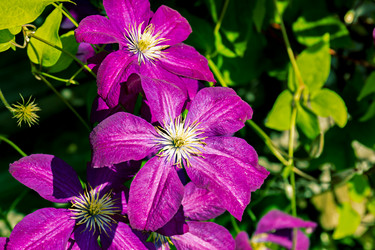 Similar image 20996226