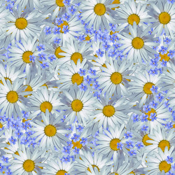 Similar image 20996227