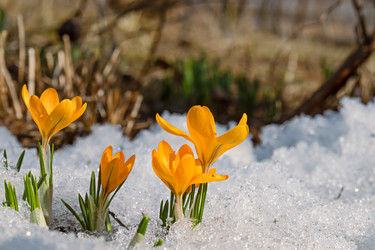 Similar image 20995965