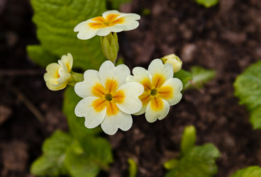 Similar image 20995966