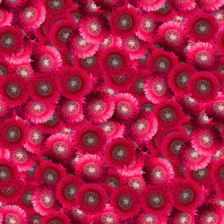 Similar image 20995970