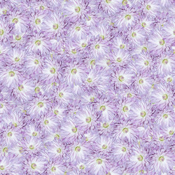 Similar image 20996010