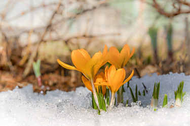 Similar image 20996011